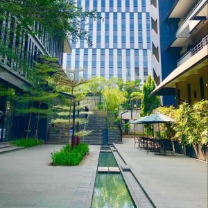 professional building wash